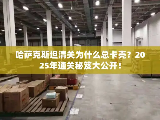 哈萨克斯坦清关为什么总卡壳？2025年通关秘笈大公开！