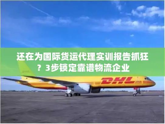 还在为国际货运代理实训报告抓狂？3步锁定靠谱物流企业