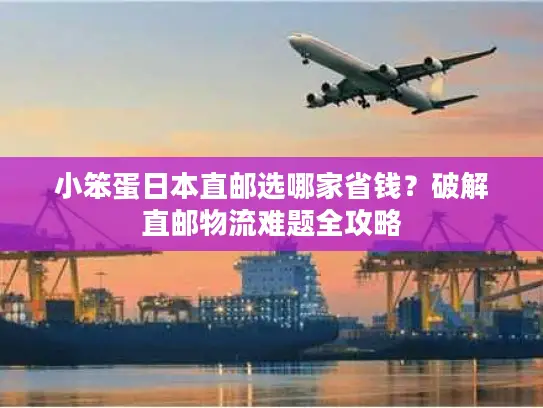 小笨蛋日本直邮选哪家省钱？破解直邮物流难题全攻略