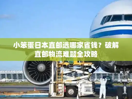 小笨蛋日本直邮选哪家省钱？破解直邮物流难题全攻略