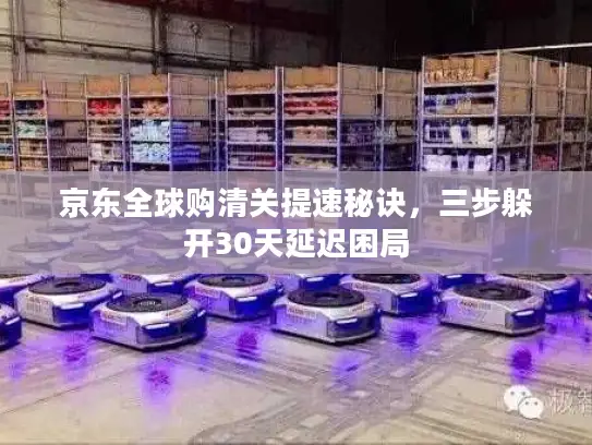 京东全球购清关提速秘诀，三步躲开30天延迟困局