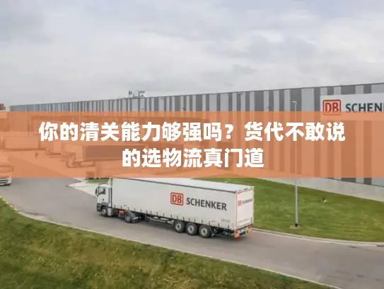 你的清关能力够强吗？货代不敢说的选物流真门道