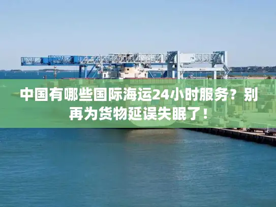 中国有哪些国际海运24小时服务？别再为货物延误失眠了！