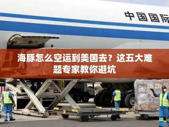 海豚怎么空运到美国去？这五大难题专家教你避坑