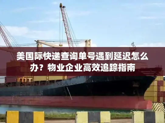 美国际快递查询单号遇到延迟怎么办？物业企业高效追踪指南