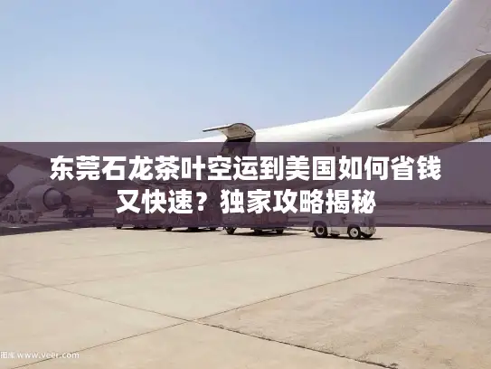 东莞石龙茶叶空运到美国如何省钱又快速？独家攻略揭秘