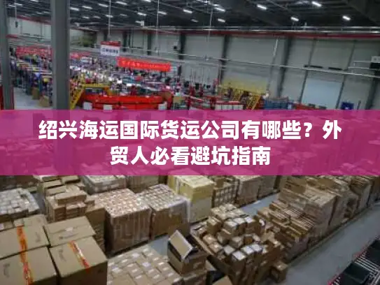 绍兴海运国际货运公司有哪些？外贸人必看避坑指南