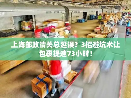 上海邮政清关总延误？3招避坑术让包裹提速73小时！