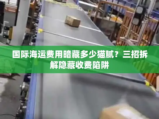 国际海运费用暗藏多少猫腻？三招拆解隐藏收费陷阱
