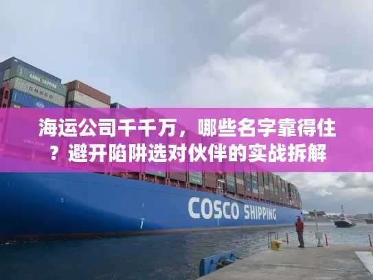 海运公司千千万，哪些名字靠得住？避开陷阱选对伙伴的实战拆解