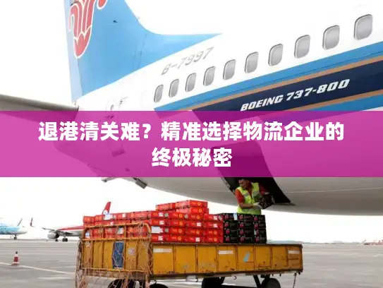 退港清关难？精准选择物流企业的终极秘密