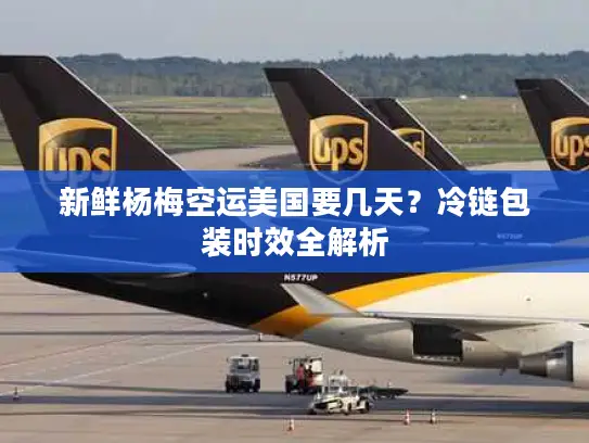 新鲜杨梅空运美国要几天？冷链包装时效全解析