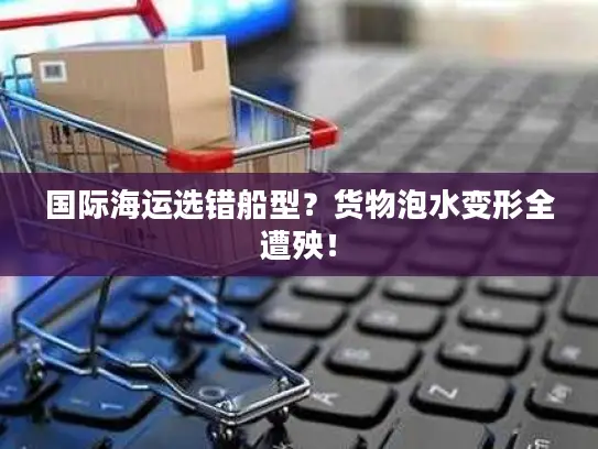 国际海运选错船型？货物泡水变形全遭殃！