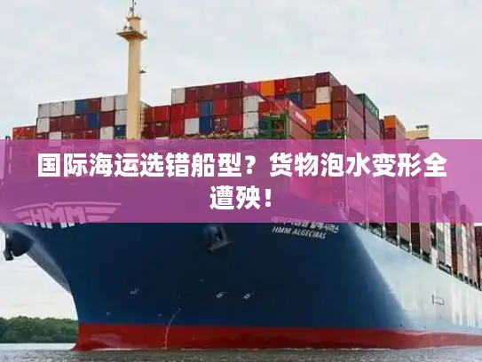 国际海运选错船型？货物泡水变形全遭殃！