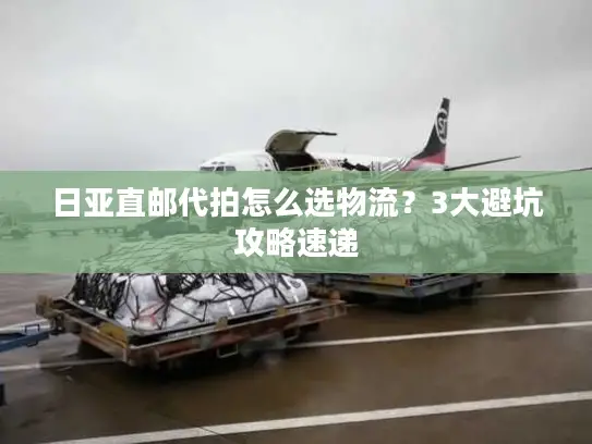 日亚直邮代拍怎么选物流？3大避坑攻略速递
