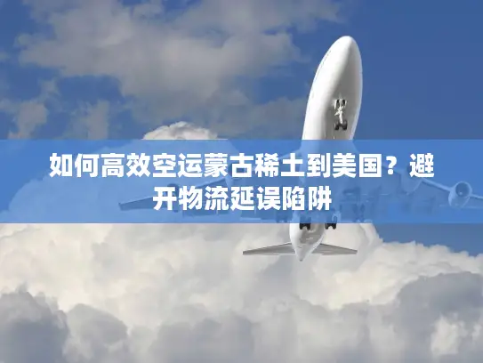 如何高效空运蒙古稀土到美国？避开物流延误陷阱