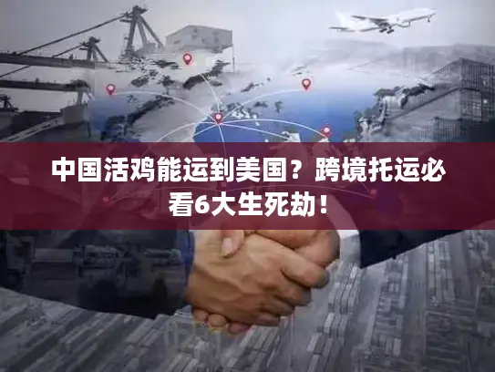 中国活鸡能运到美国？跨境托运必看6大生死劫！