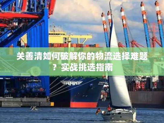 关善清如何破解你的物流选择难题？实战挑选指南