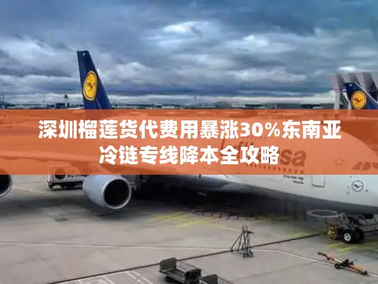 深圳榴莲货代费用暴涨30%东南亚冷链专线降本全攻略