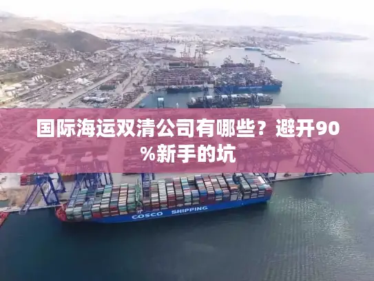 国际海运双清公司有哪些？避开90%新手的坑
