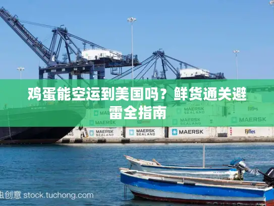 鸡蛋能空运到美国吗？鲜货通关避雷全指南