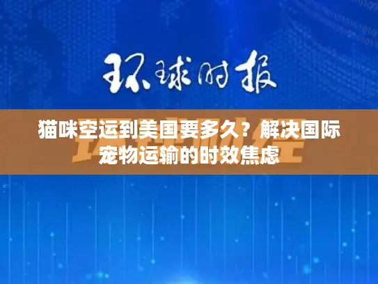 猫咪空运到美国要多久？解决国际宠物运输的时效焦虑