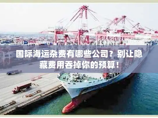国际海运杂费有哪些公司？别让隐藏费用吞掉你的预算！