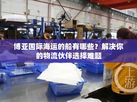 博亚国际海运的船有哪些？解决你的物流伙伴选择难题