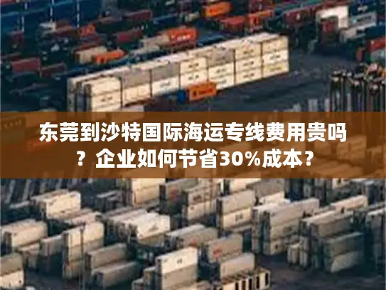东莞到沙特国际海运专线费用贵吗？企业如何节省30%成本？