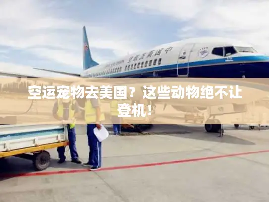 空运宠物去美国？这些动物绝不让登机！