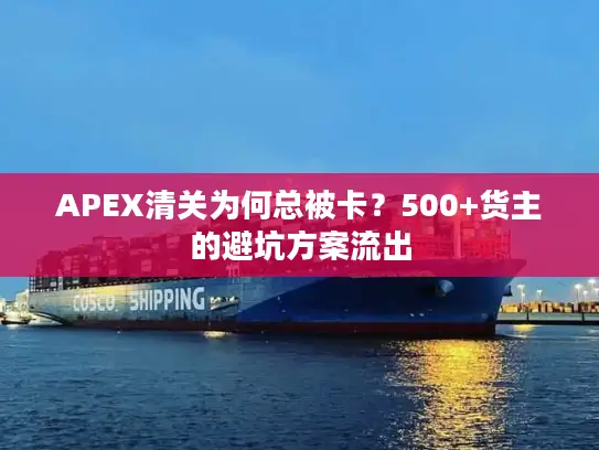 APEX清关为何总被卡？500+货主的避坑方案流出