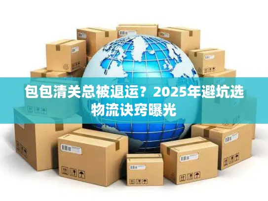 包包清关总被退运？2025年避坑选物流诀窍曝光