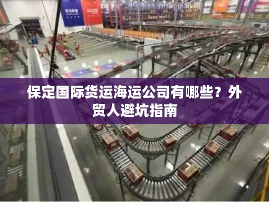 保定国际货运海运公司有哪些？外贸人避坑指南