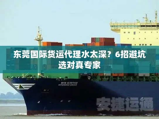 东莞国际货运代理水太深？6招避坑选对真专家
