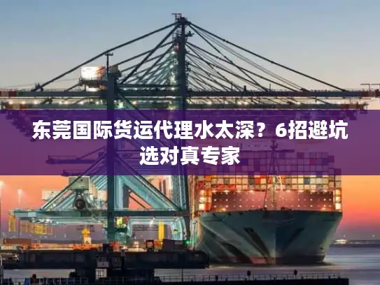 东莞国际货运代理水太深？6招避坑选对真专家