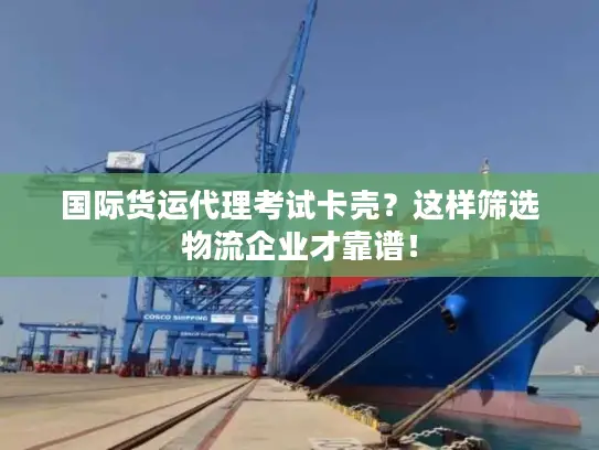国际货运代理考试卡壳？这样筛选物流企业才靠谱！