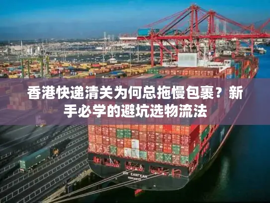 香港快递清关为何总拖慢包裹？新手必学的避坑选物流法