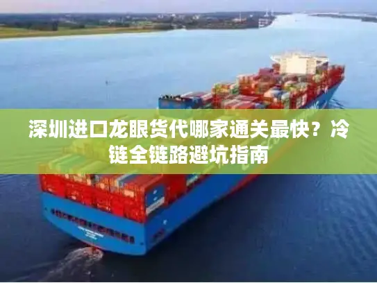 深圳进口龙眼货代哪家通关最快？冷链全链路避坑指南
