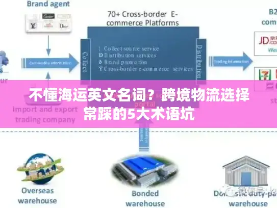 不懂海运英文名词？跨境物流选择常踩的5大术语坑