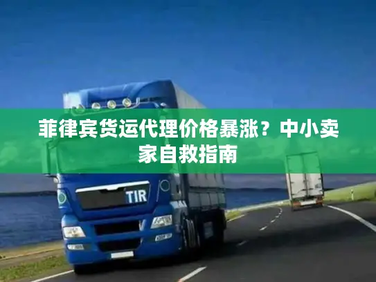 菲律宾货运代理价格暴涨？中小卖家自救指南