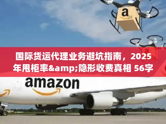 国际货运代理业务避坑指南，2025年甩柜率&隐形收费真相 56字符，核心词前置+痛点词+时效数据）