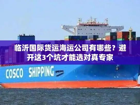 临沂国际货运海运公司有哪些？避开这3个坑才能选对真专家