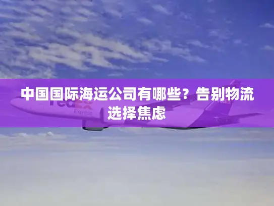 中国国际海运公司有哪些？告别物流选择焦虑