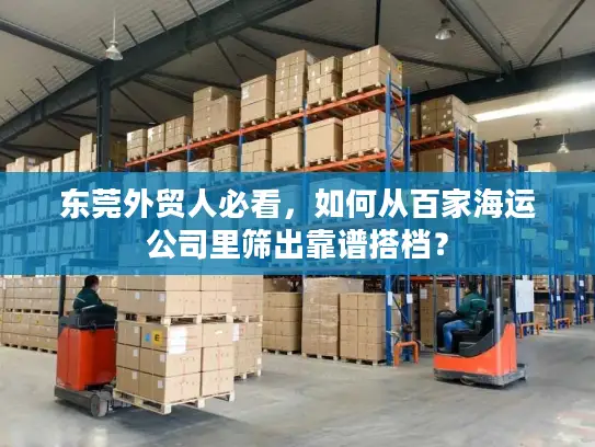 东莞外贸人必看，如何从百家海运公司里筛出靠谱搭档？