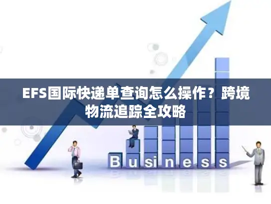 EFS国际快递单查询怎么操作？跨境物流追踪全攻略
