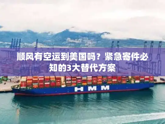 顺风有空运到美国吗？紧急寄件必知的3大替代方案