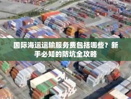 国际海运运输服务费包括哪些？新手必知的防坑全攻略