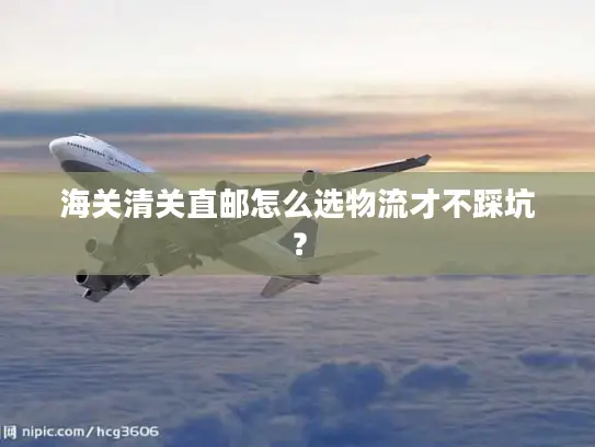 海关清关直邮怎么选物流才不踩坑？