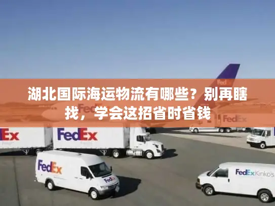 湖北国际海运物流有哪些？别再瞎找，学会这招省时省钱