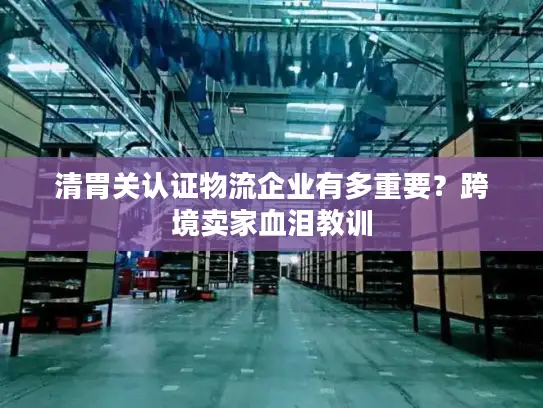 清胃关认证物流企业有多重要？跨境卖家血泪教训